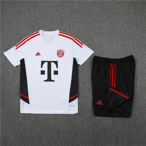 Bayern Munich Short Sleeve Set Grey/Red 2022-23